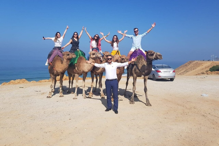 Explore Tangier with a ride in camel