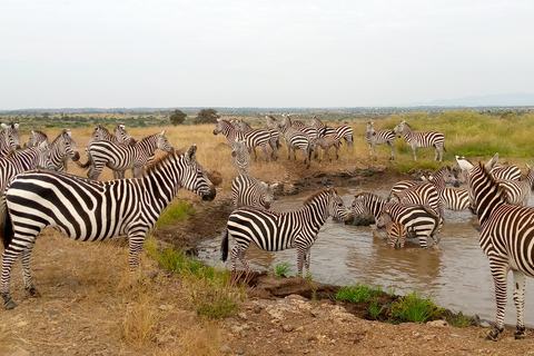 Excursion d'une journée au lac Naivasha et à Hells Gate