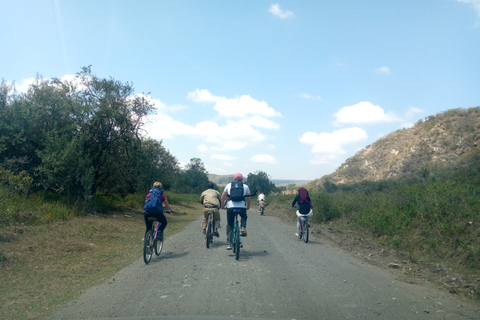 Excursion d'une journée au lac Naivasha et à Hells Gate