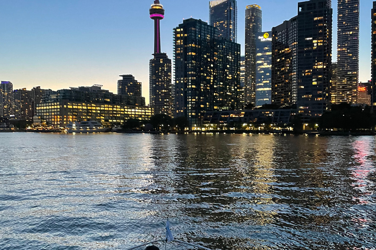 Toronto: cruzeiro turístico em iate de luxo privado e prosecco