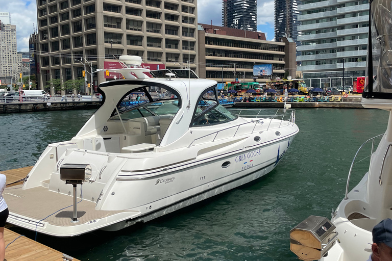 Toronto: Privat sightseeingkryssning med lyxyacht och prosecco