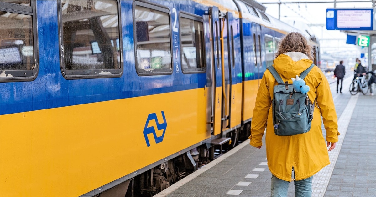 amsterdam-zugtransfer-amsterdam-von-nach-rotterdam-getyourguide