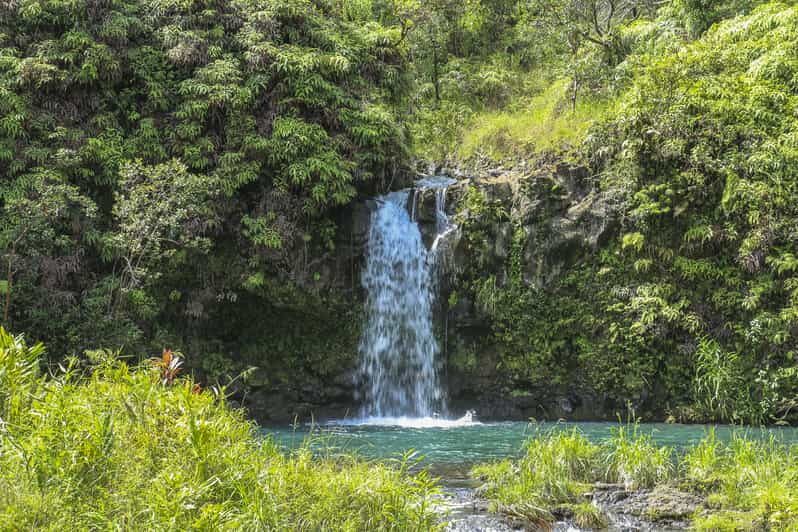 Halfway to Hana: Waterfall, & Garden of Eden Tour | GetYourGuide