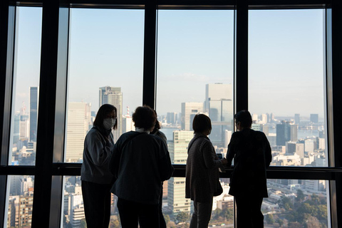 Tokyo: 1-dagars höjdpunkter med privat bil och guide