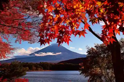 Seasonal Mt. Fuji Scenic Views, Fruit Picking and Ropeway!