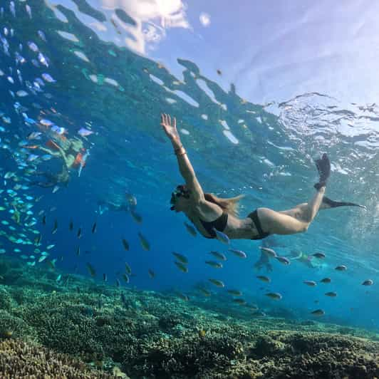 Gili Islands: Private or Shared Snorkeling Boat Trip | GetYourGuide