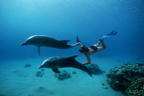 Hurghada: Mergulho com snorkel, observação de golfinhos e diversão com banana boat