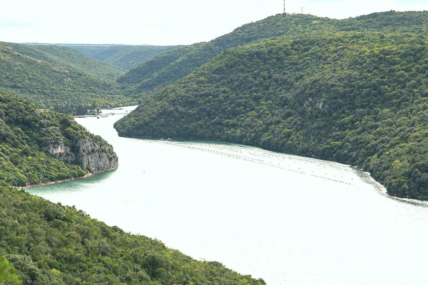 Vrsar: Lim Fjord Boat Tour with Swimming near Pirate's Cave