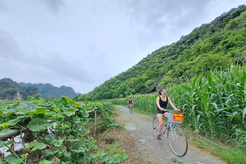 1-Day Hanoi - Ninh Binh - Hoa Lu - Tam Coc - Mua Cave - Bus