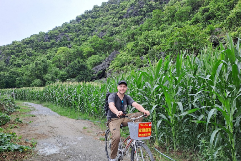 1-Day Hanoi - Ninh Binh - Hoa Lu - Tam Coc - Mua Cave - Bus