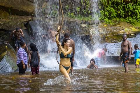 Jednodniowe safari w Shimba Hills i wycieczka do wodospadu SheldrickWyjazd z Diani i Tiwi