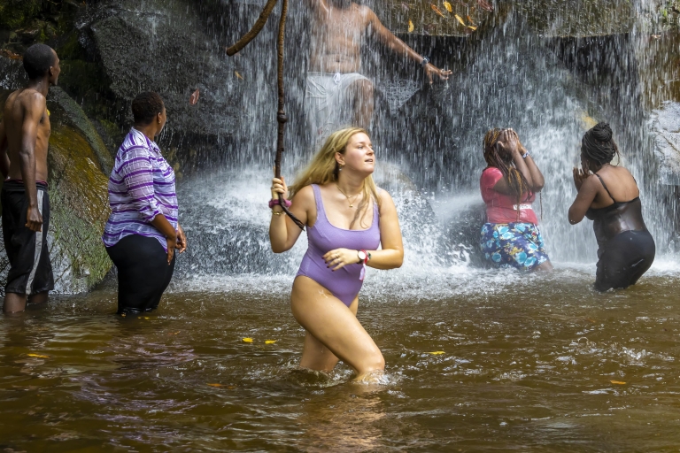 Jednodniowe safari w Shimba Hills i wycieczka do wodospadu SheldrickWyjazd z Mombasy, Shanzu i Mtwapy