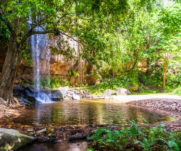 Shimba Hills Day Safari & Sheldrick Falls Hike Private Tour