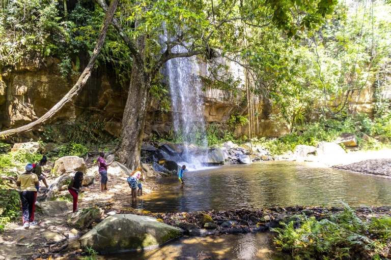 Shimba Hills-dagsafari & Sheldrick Falls-wandelingVertrek vanuit Mombasa, Shanzu & Mtwapa