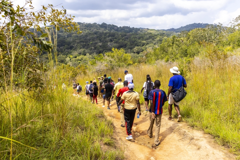 Safari d'une journée dans les collines de Shimba et randonnée aux chutes de SheldrickDépart de Mombasa, Shanzu et Mtwapa