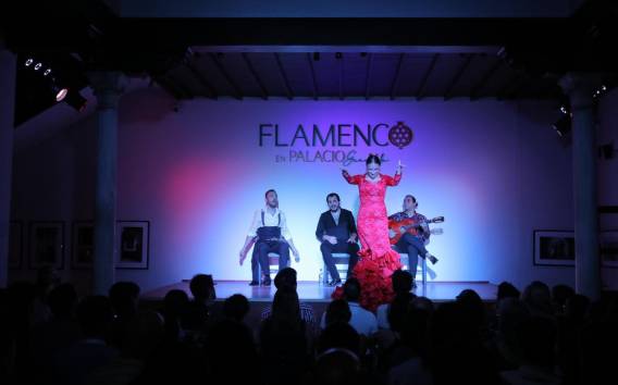 Flamenco en Palacio