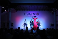 Flamenco en Palacio - Hizvo