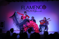Flamenco en Palacio - Hizvo