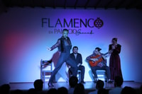 Flamenco en Palacio - Hizvo
