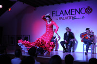 Flamenco en Palacio - Hizvo