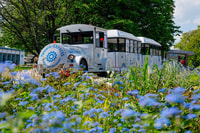 Erfurt, Egapark garden Entrance Ticket - Housity