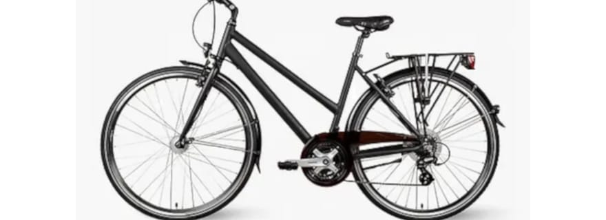 Dresde : Location de vélo - Trekking Bike