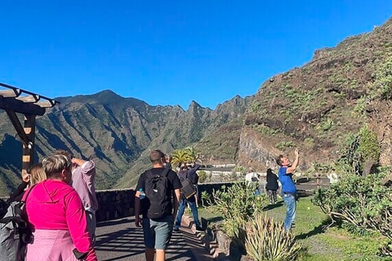 Tenerife : La Gomera depuis Tenerife : expérience d'une journée complète(Copy of) Tenerife : La Gomera depuis Tenerife visite guidée en anglais