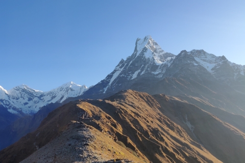 Mardi Himal Trek - 4 Days from Pokhara Mardi Himal Trek via Traditional Village-4 Days from Pokhara
