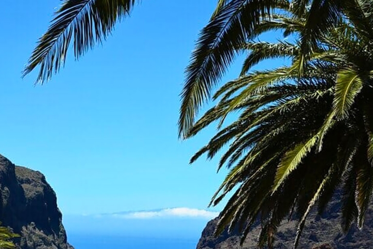 Tenerife: Teide + Icod de los Vinos + Garachico + MascaTenerife: Visita guiada en italiano