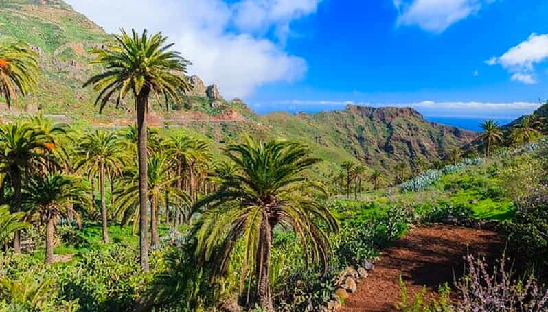 Tenerife Teide Icod De Los Vinos Garachico Masca Tour GetYourGuide