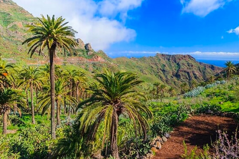 Tenerife: Teide + Icod de los Vinos + Garachico + MascaTenerife: Rondleiding in het Engels