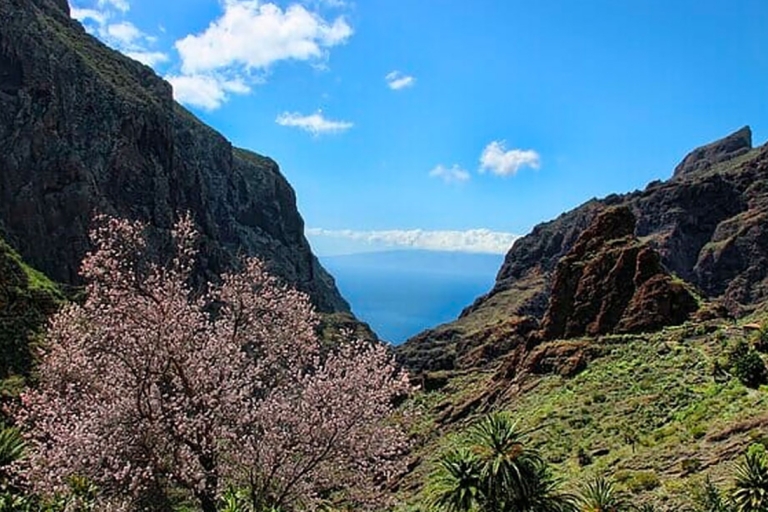Tenerife : Teide + Icod de los Vinos + Garachico + MascaTenerife : Visite guidée en espagnol