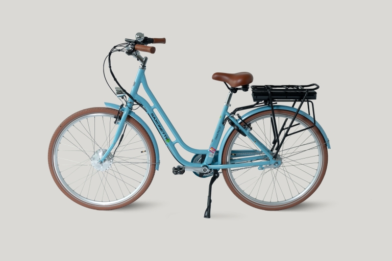 Dresde: Alquiler de bicicletas por un día - E-BikeDresde: Alquiler de bicicletas por un día