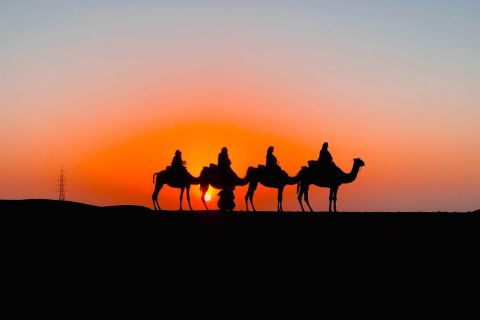 Da Marrakech: Cena nel deserto di Agafay con tramonto e stelle