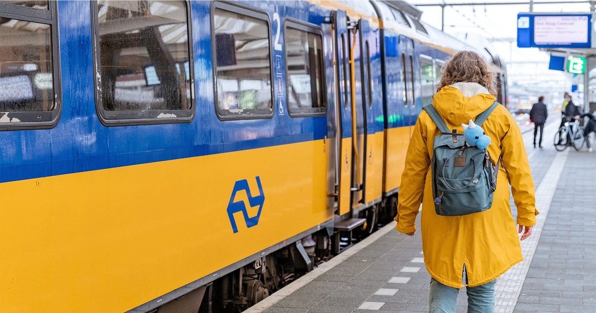 Utrecht Train Transfer Utrecht from/to Den Haag GetYourGuide