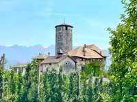 Tour guidato di Castel Valer Private Mansion - Housity