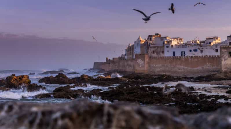Marrakech : Excursion d'une journée à Essaouira - medina