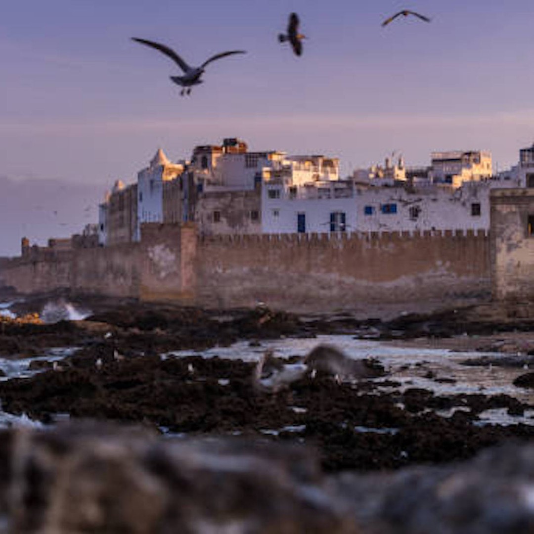 Marrakech : Excursion d'une journée à Essaouira - medina