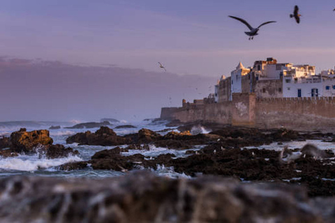 Essaouira : Excursion d'une journée au départ de Marrakech avec transport