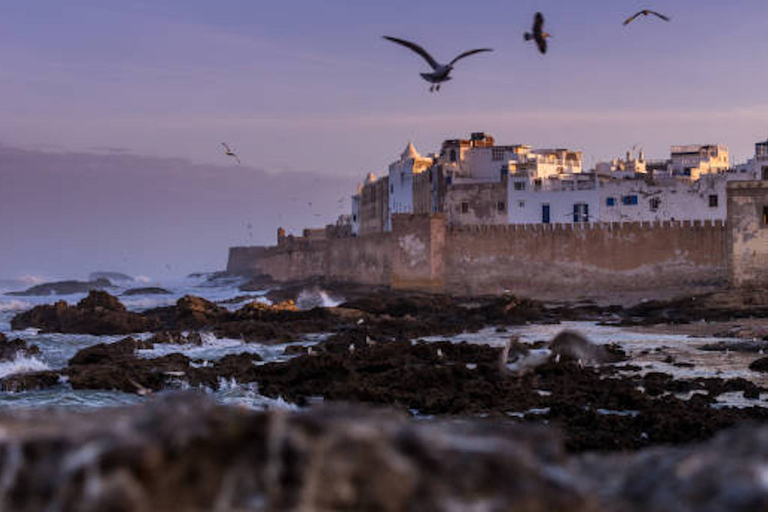 Essaouira: Excursión de un día desde Marrakech con transporte