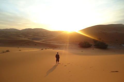 Depuis Fès : 3 jours et 2 nuits dans le désert à MarrakechVisite privée