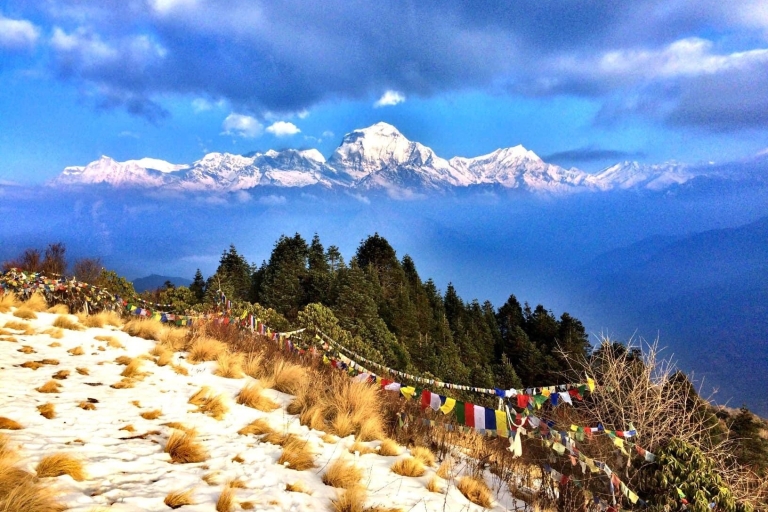 Ghorepani Poon Hill Trek: 4-dniowa prywatna wycieczka z PokharyWędrówka po wzgórzu Ghorepani Poon | Prywatna 4-dniowa wędrówka po Poon Hill
