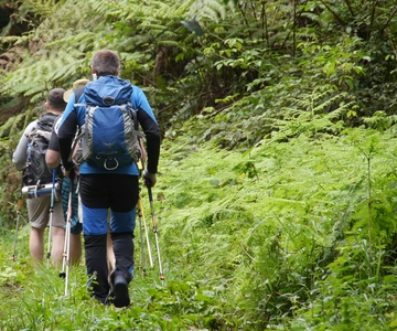 Kilimangiaro: escursione di un giorno al Mandara Hut Kilimanjaro 2700m