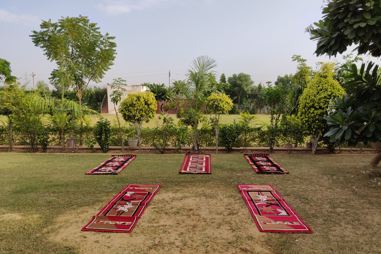 斋浦尔：传统印度瑜伽体验传统印度瑜伽体验 + 接送服务