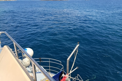 Javea: Portitxol Island Motor Catamaran Trip with Meal Javea: Cataman Trip with Local Foods
