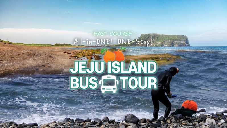 Tour in autobus est dell'isola di Jeju con pranzo incluso Gita di un giorno intero