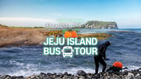 Jeju Island, tour in autobus jeju est per l'intera giornata con pranzo locale - Housity