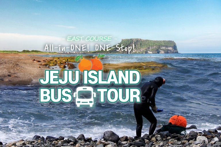 Excursión de un día completo en autobús por el este de la isla de Jeju con almuerzo incluido