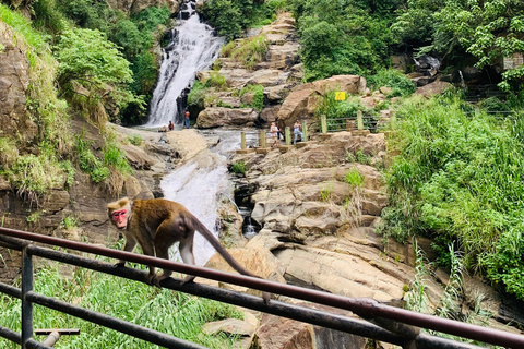 Visite multijours au Sri LankaVisites multijours et visites à la journée