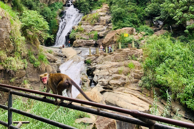 Meerdaagse rondreis in Sri LankaMeerdaagse tours en dagtours